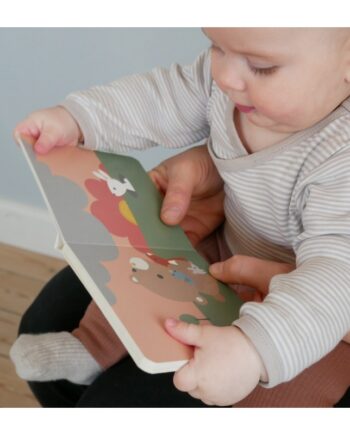 Βιβλίο TEDDY'S DAY