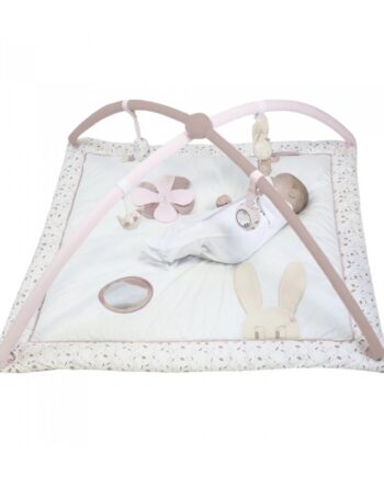 Γυμναστ΄ήριο 100Χ100 ROSE & LILLI Trois Kilos Sept